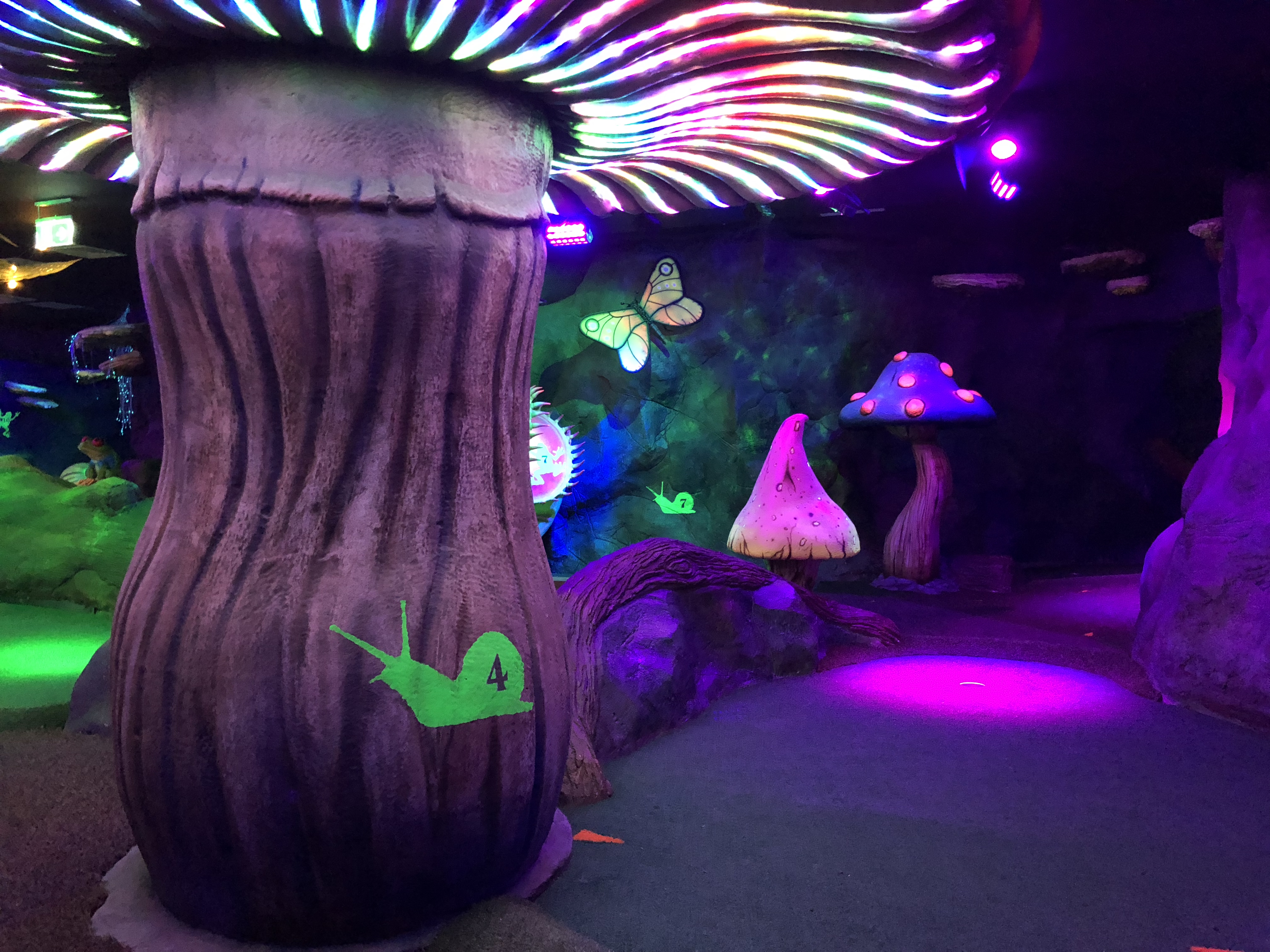 A view of the special effects UV glow in the dark lighting on a mushroom in lost world golf in Milton Keynes after the commercial fit out by RCEservices